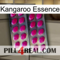 Kangaroo Essence 10